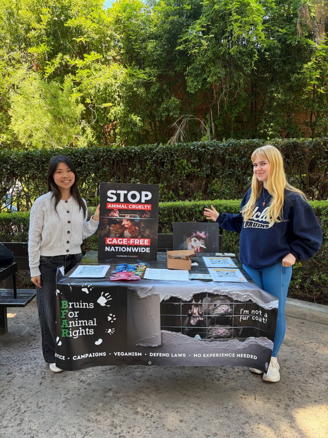 Two BFAR members tabling on campus beside a Stop Animal Cruelty sign and a Bruins for Animal Rights banner