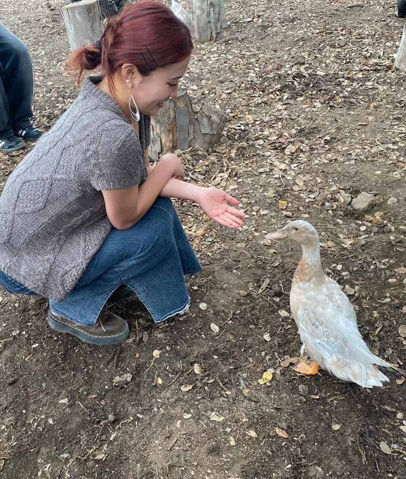A volunteer crouching down and reaching out a hand to a duck